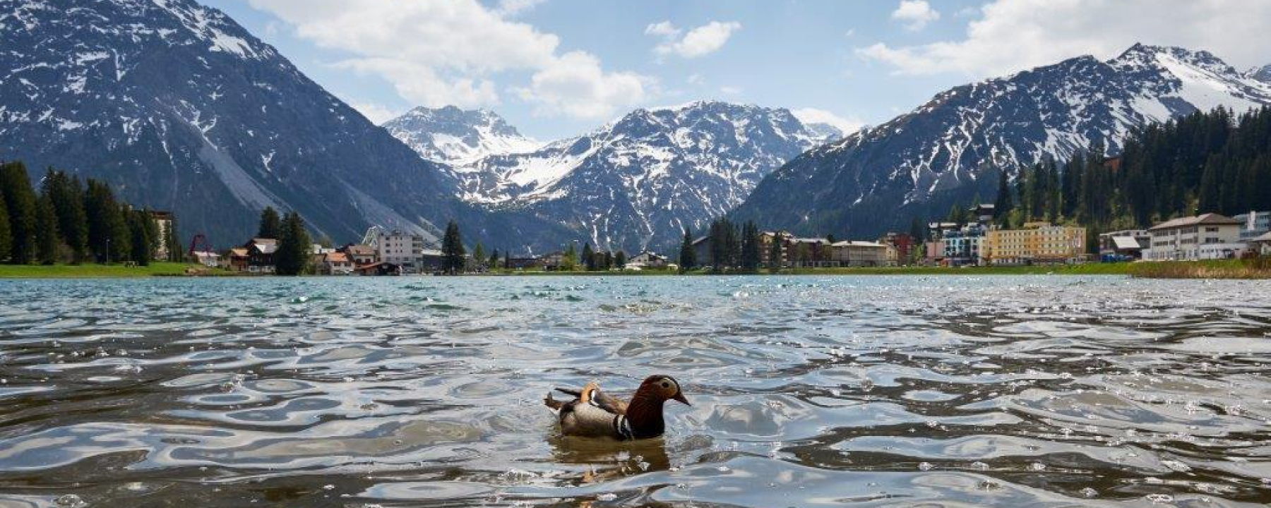 Obersee Frühling