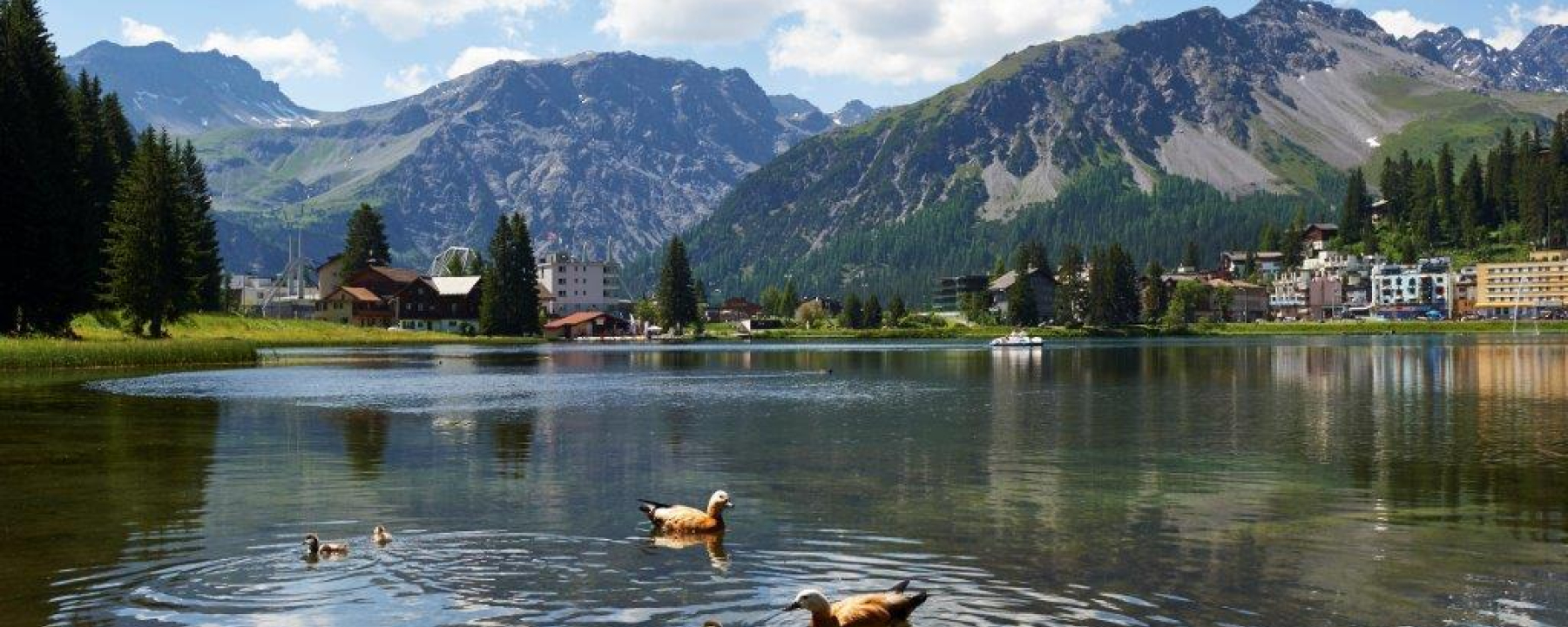 Obersee Sommer
