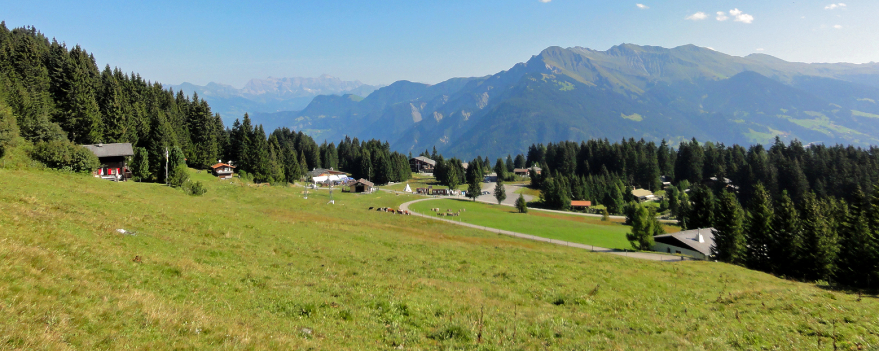 Blick zur Hochebene Brambrüesch