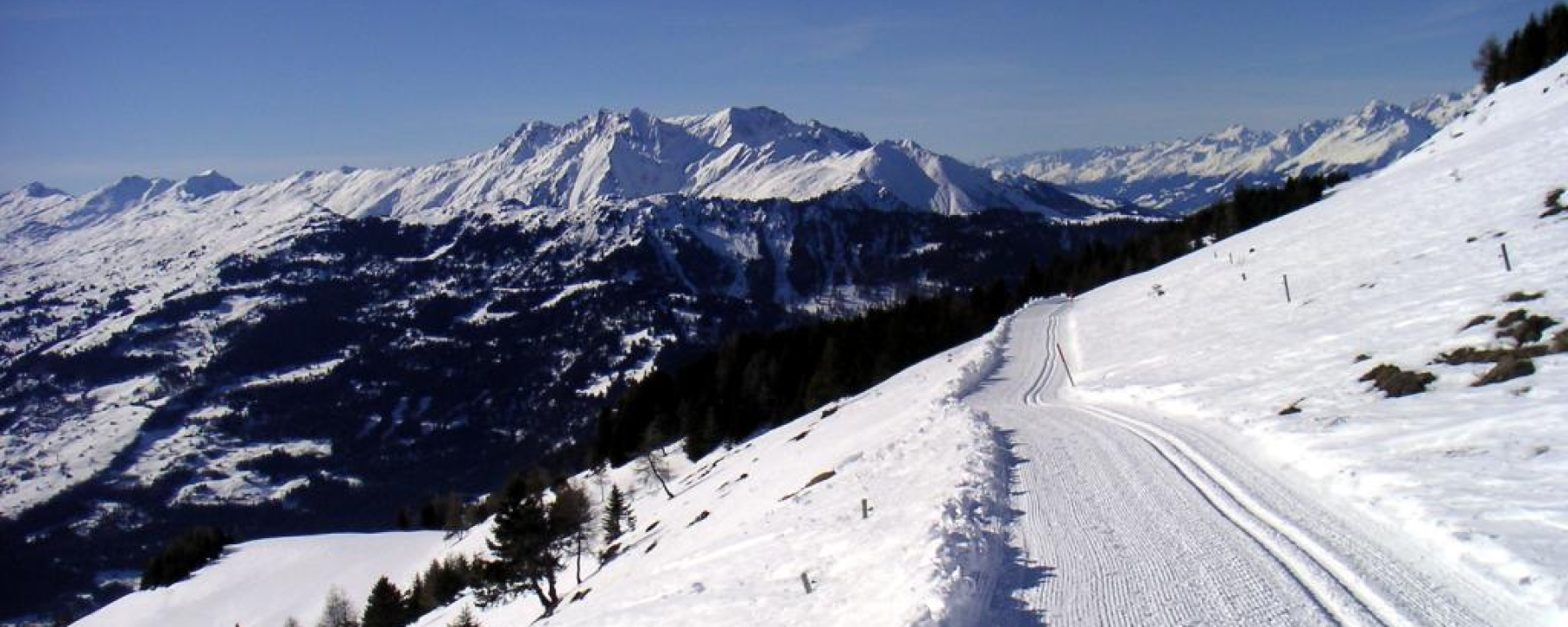 Langlaufloipe Feldis