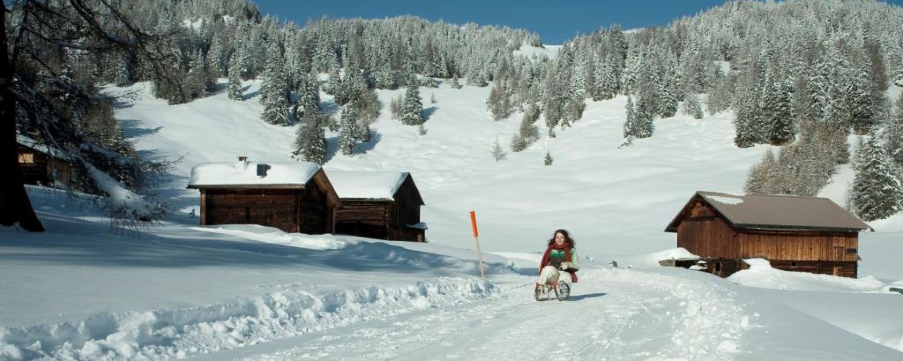 Schlittelbahn Feldis - Domat/Ems