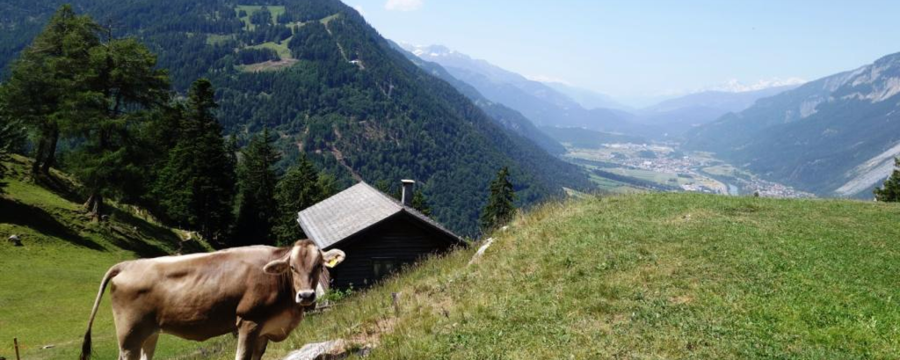 Mittenberg mit Blick ins Churer Rheintal