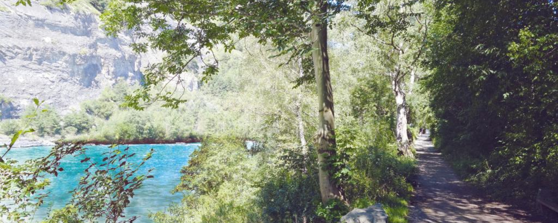 Uferweg am Alpenrhein
