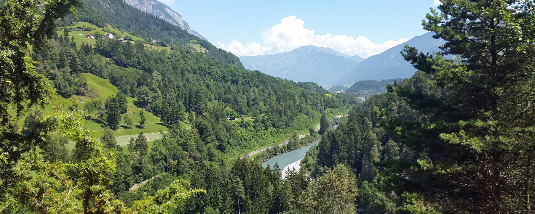 Ausblick auf den Rhein und den Wanderweg