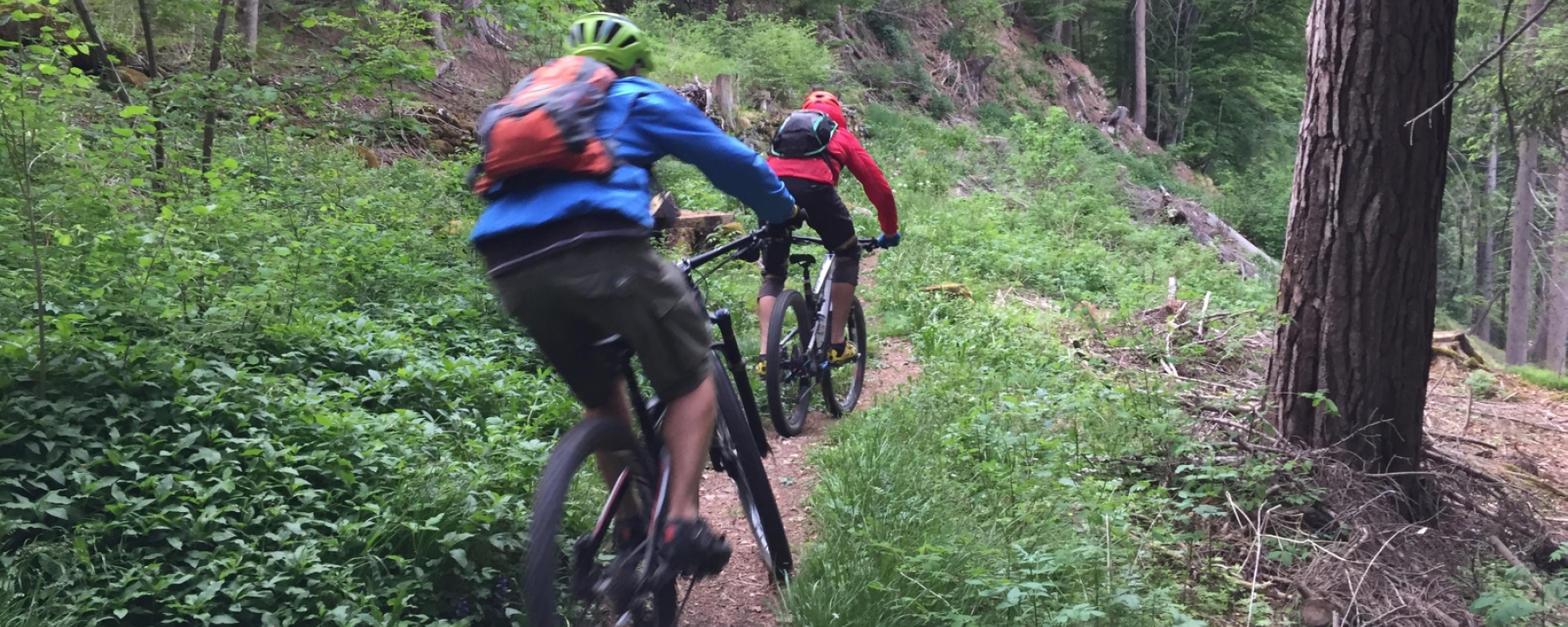 Trail zwischen Malix und Passugg