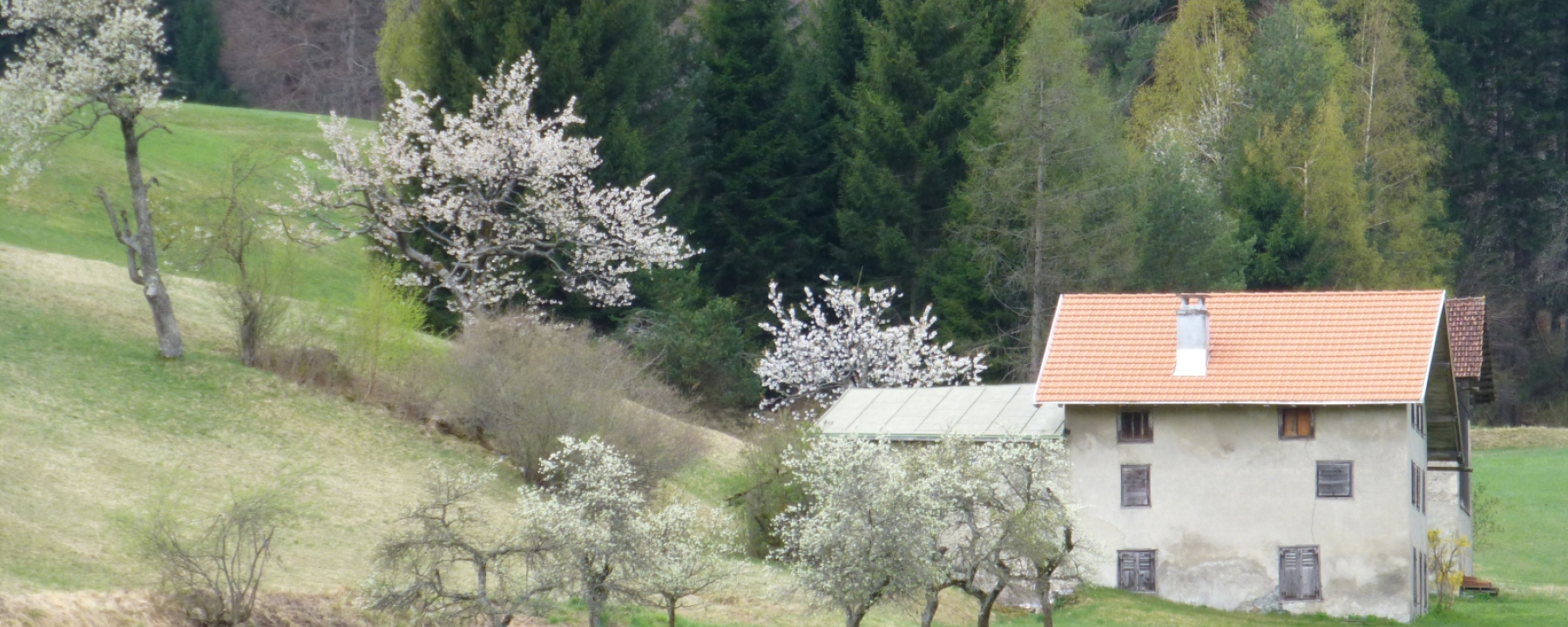 Weihermühle
