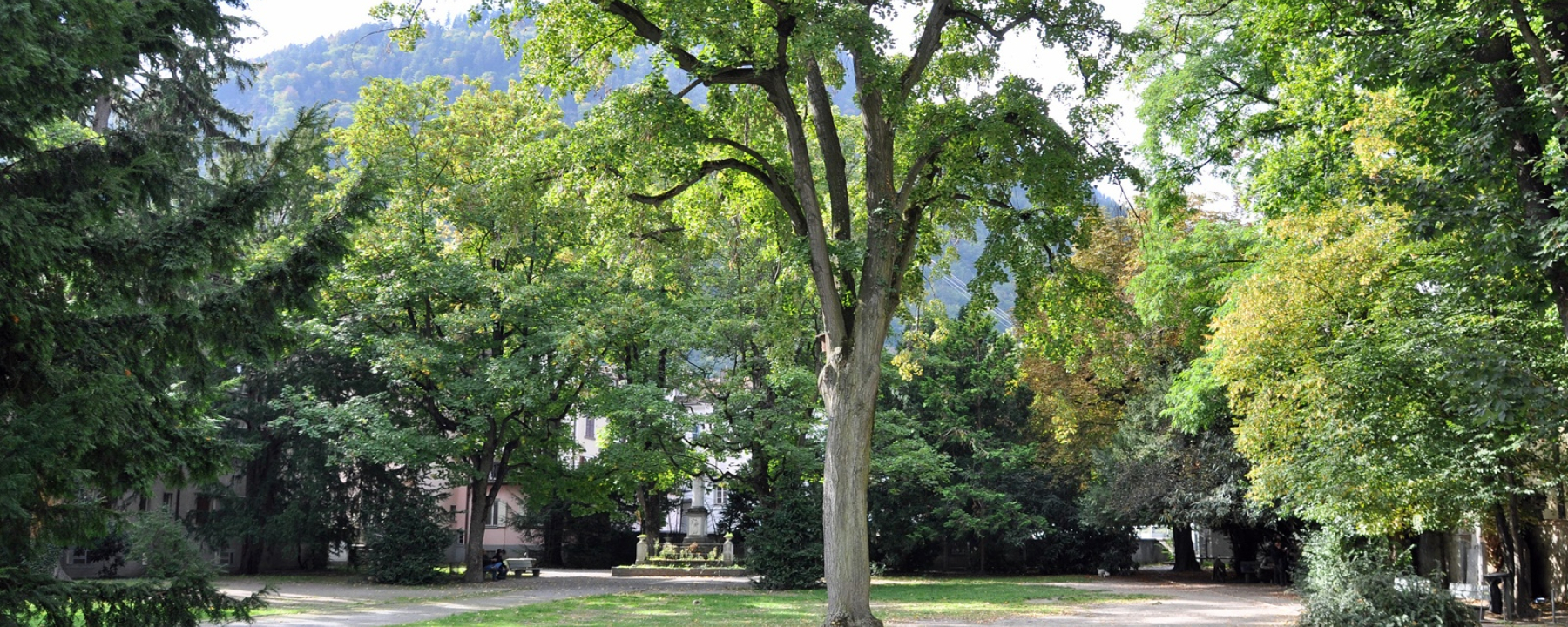 Stadtgarten Chur