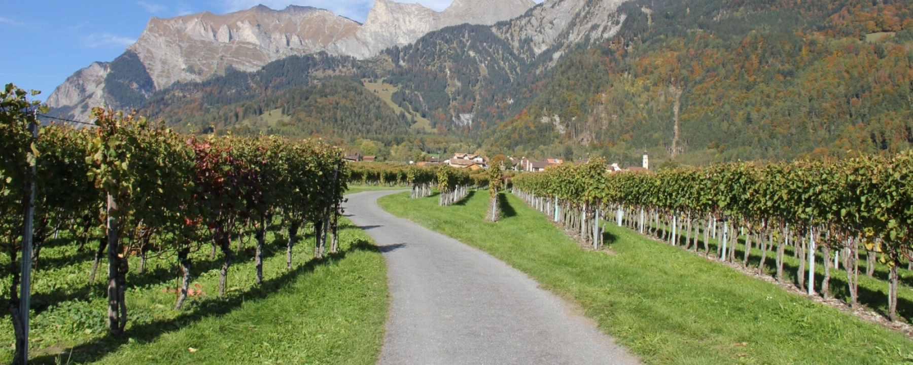 Weinregion Bündner Herrschaft