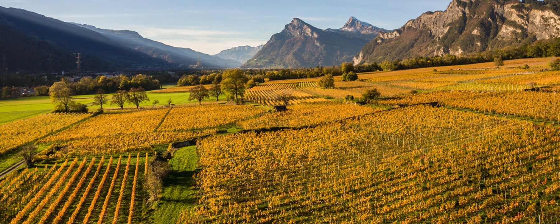Blick auf die Weinbauregion Bündner Herrschaft