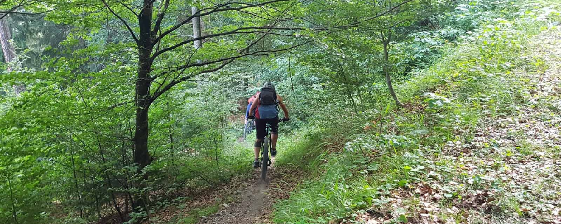 Einstieg in den Trail