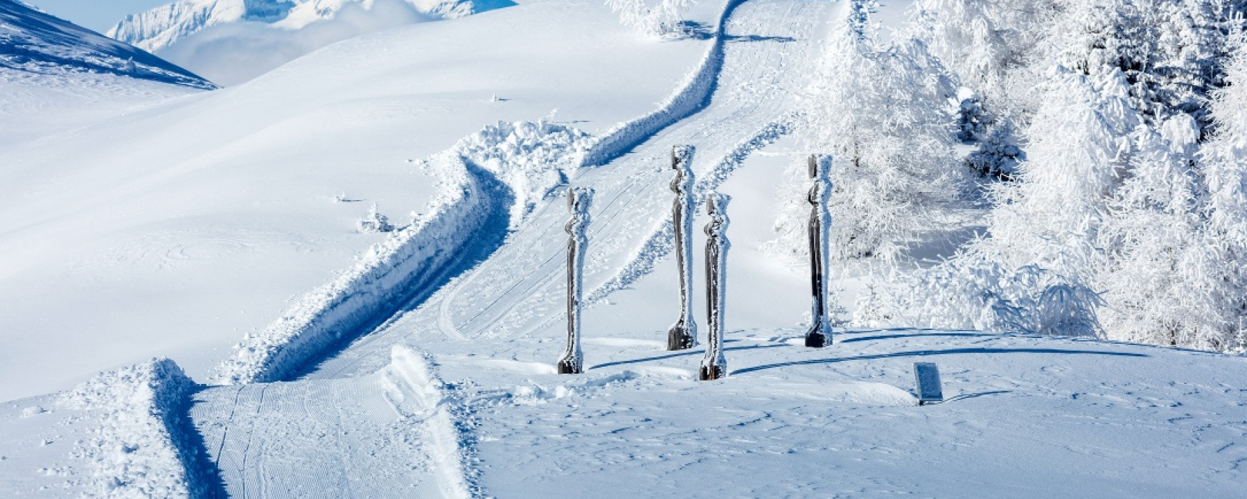 Winterwandern in Feldis
