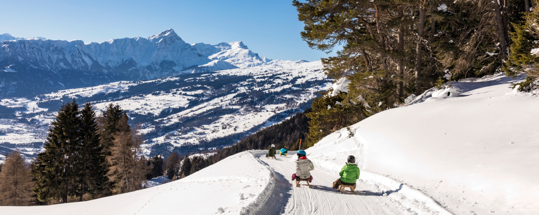 Schlittelweg Mutta - Nordhang - Feldis