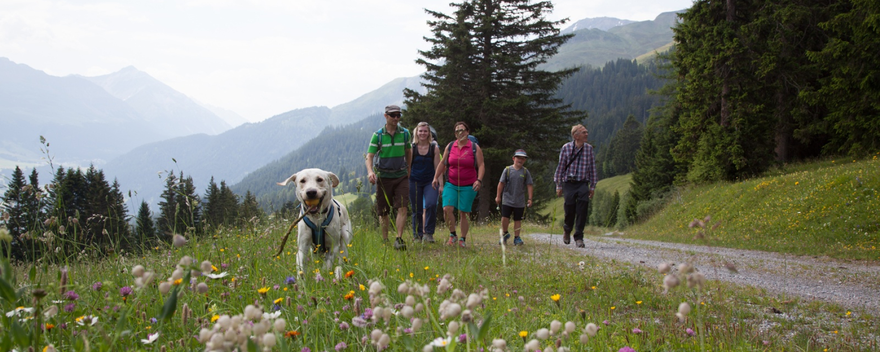 Edelweissrundweg bei Seznis
