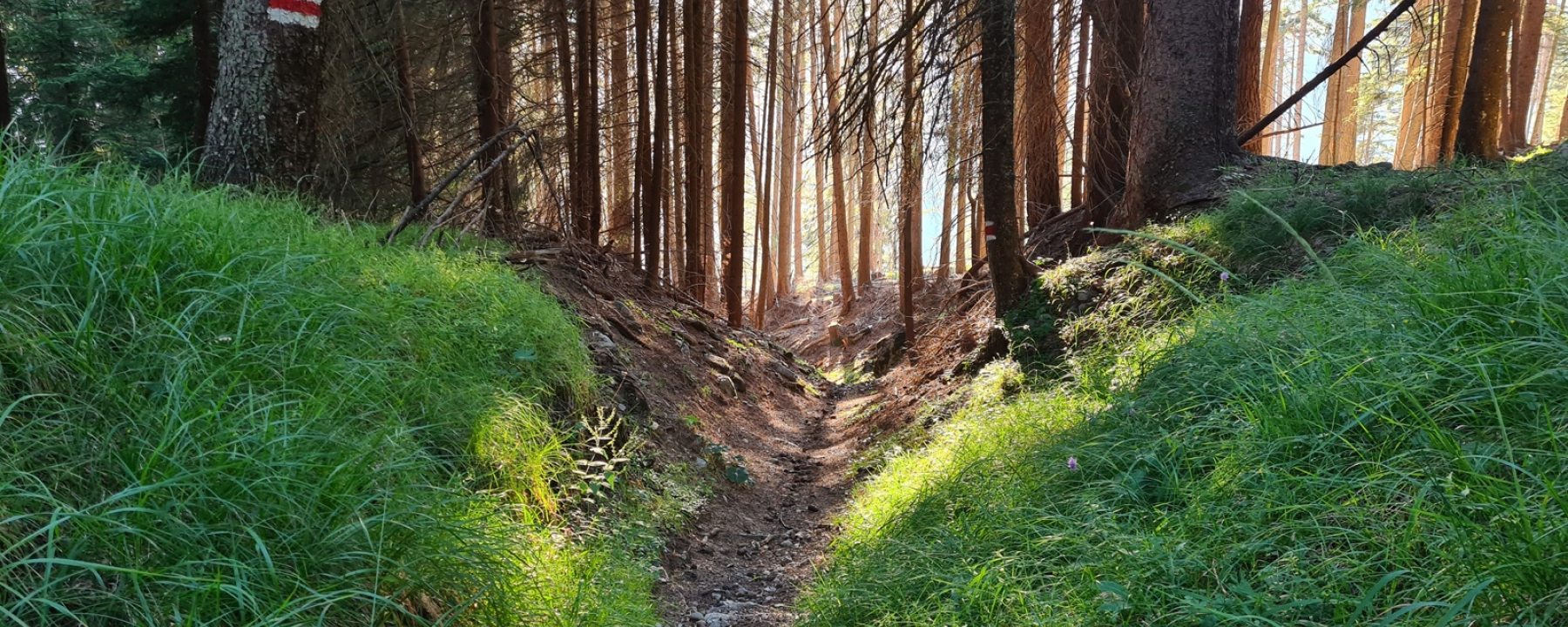 Dirauls-Trail zwischen Feldis und dem Domleschg