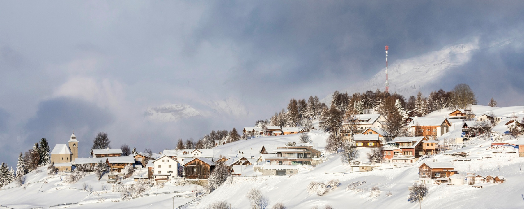 Feldis im Winter