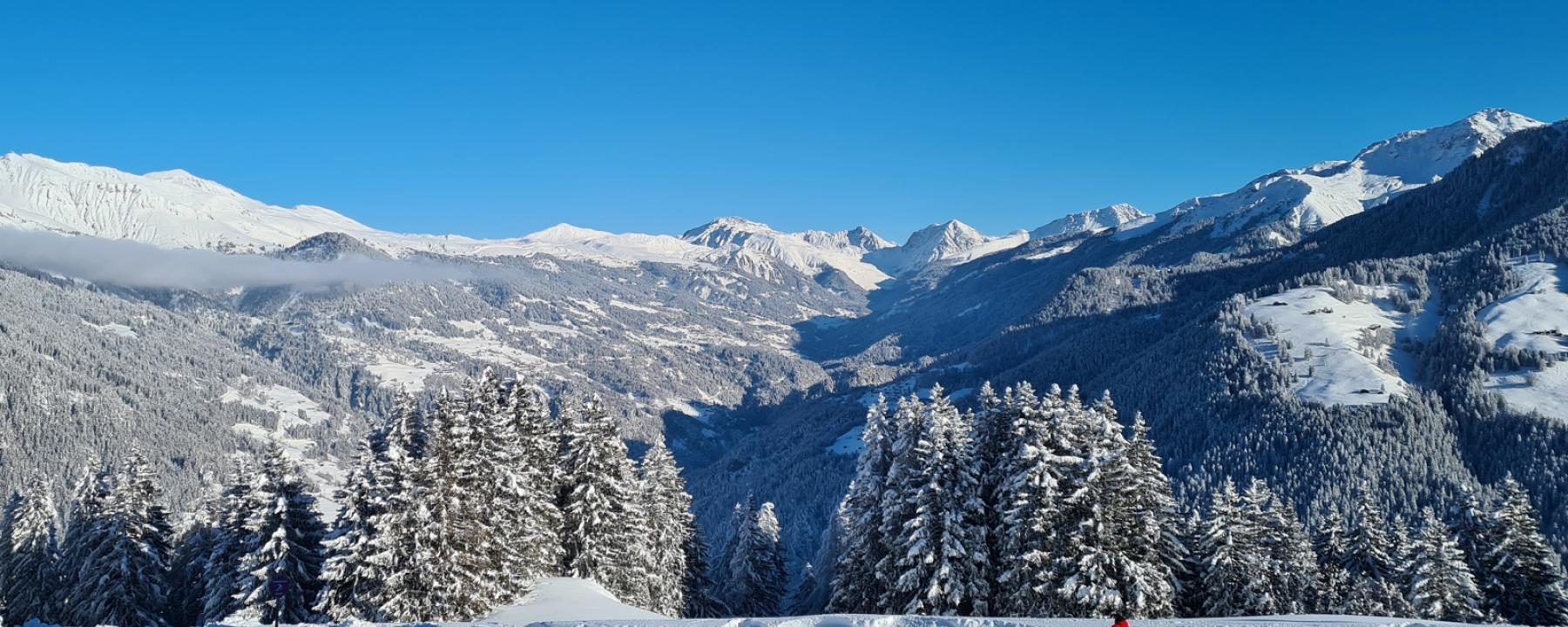 Schlittelweg Brambrüesch mit Aussicht
