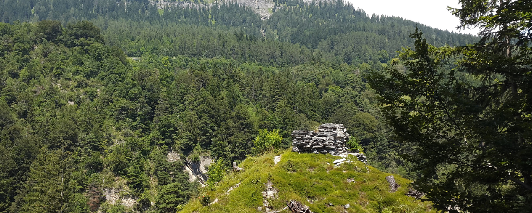 Ruine Wackenau
