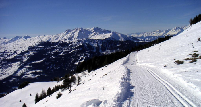 Langlaufloipe Feldis