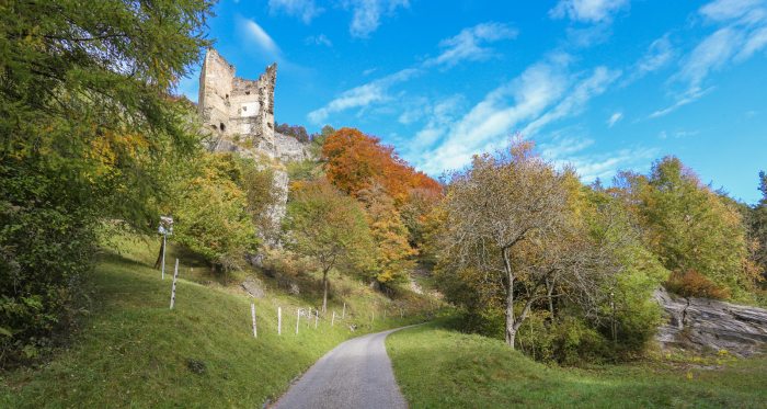 Ruine Haldenstein