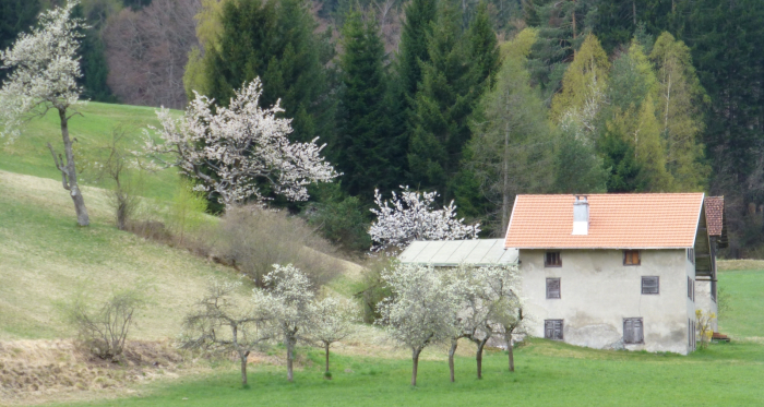 Weihermühle
