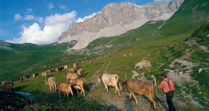 Prättigau im Sommer