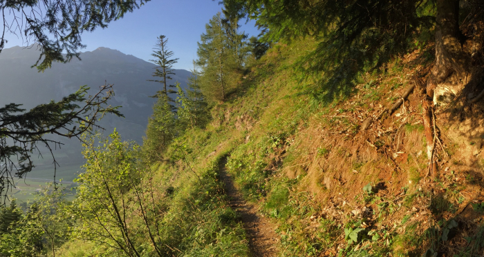 Wanderweg Sauerquelle