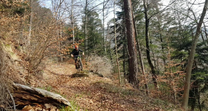 Nasstobel Trail