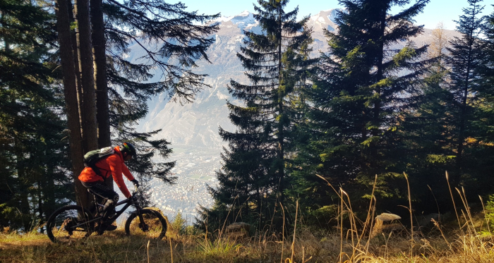 Ochsenberg Trail