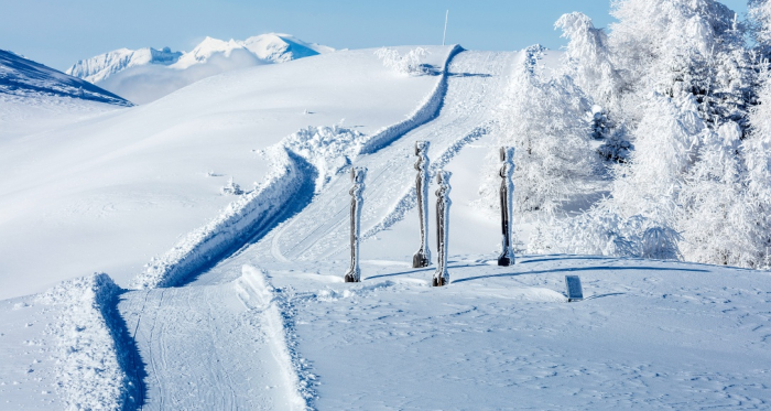 Winterwandern in Feldis