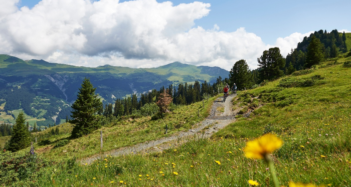 Arosa Lenzerheide Rundtour