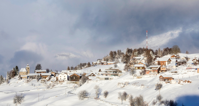 Feldis im Winter