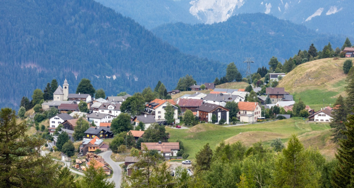 Feldis im Sommer