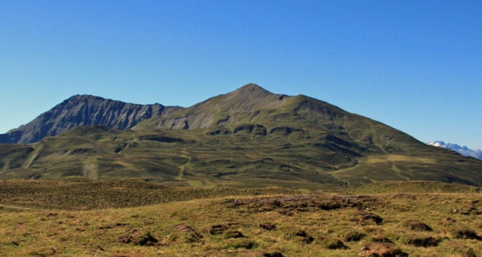Fulhorn