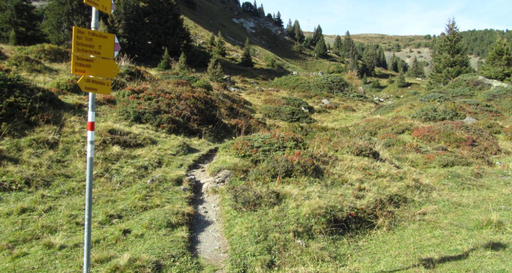 Wanderweg zum Weisshorn Wanderweg zum Weisshorn