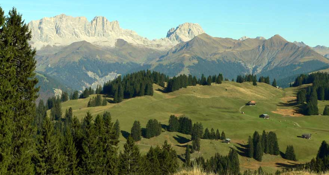 325 Furna - Trimmiser Alp (oua_2015772_image)