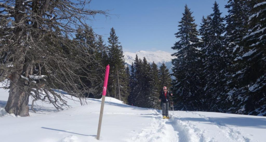 Aufstieg nach dem Spundiswald Aufstieg nach dem Spundiswald