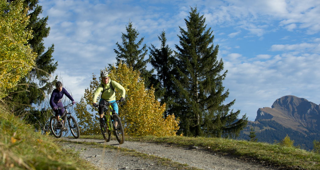 615 Biketicket to ride blau 615 Biketicket to ride blau