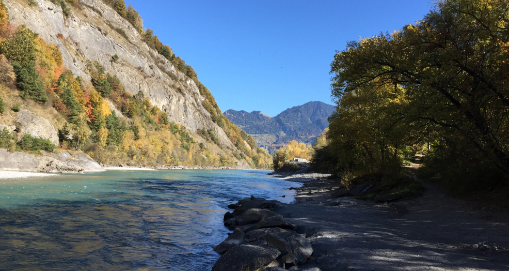 Unterhalb des Camp Au am Rhein-Ufer Unterhalb des Camp Au am Rhein-Ufer