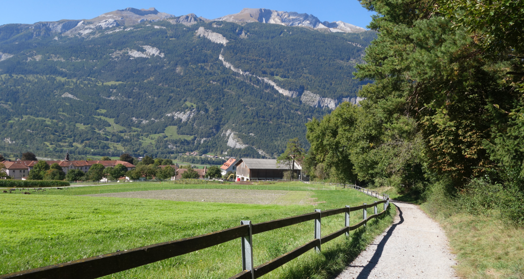 Fürstenwald mit Blick zum Calanda Fürstenwald mit Blick zum Calanda