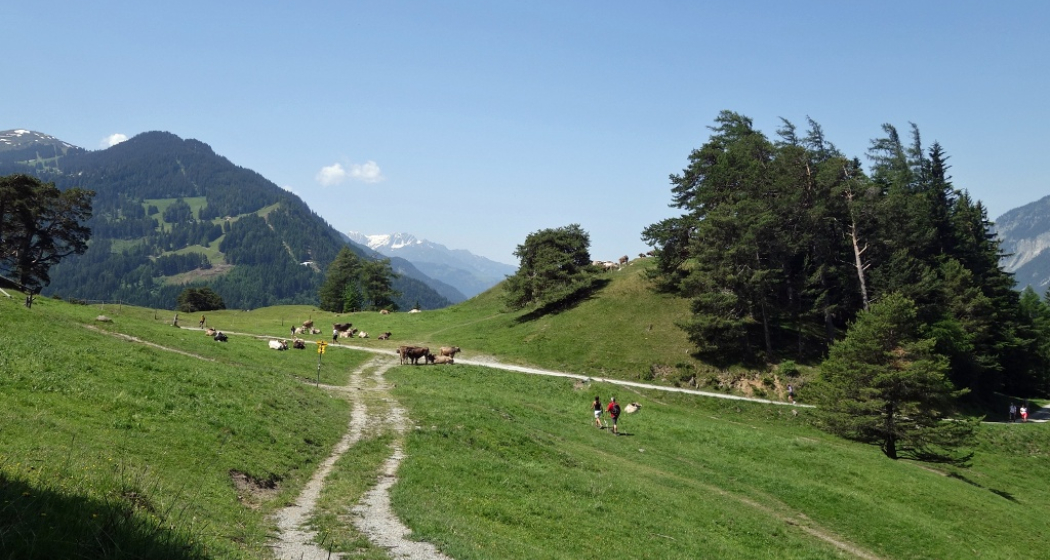 Mittenberg - beliebtes Churer Ausflugsziel Mittenberg - beliebtes Churer Ausflugsziel