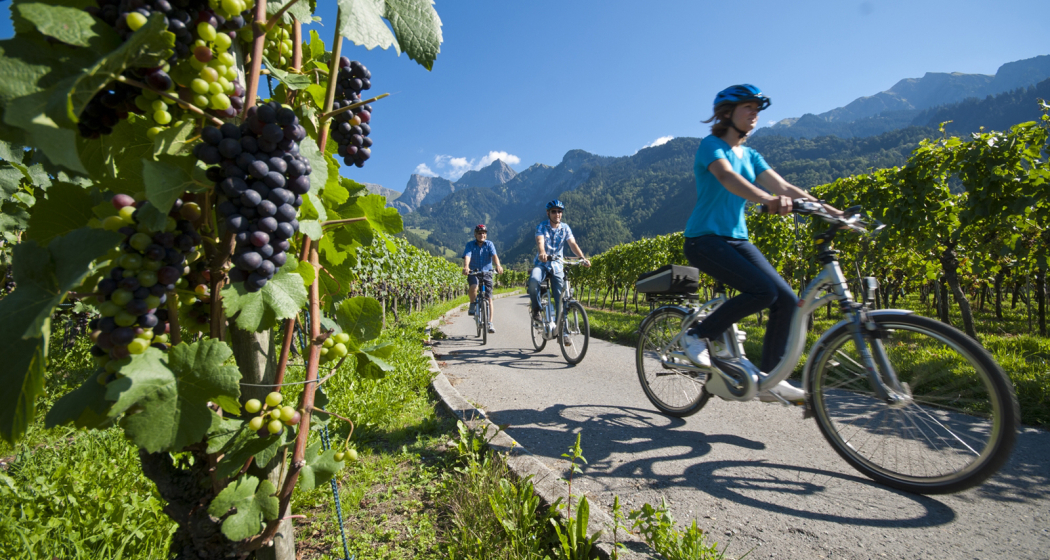 Unterwegs in der Weinregion Bündner Herrschaft Unterwegs in der Weinregion Bündner Herrschaft