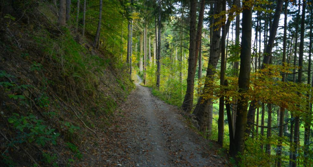 Uphill Trail UFFA Uphill Trail UFFA