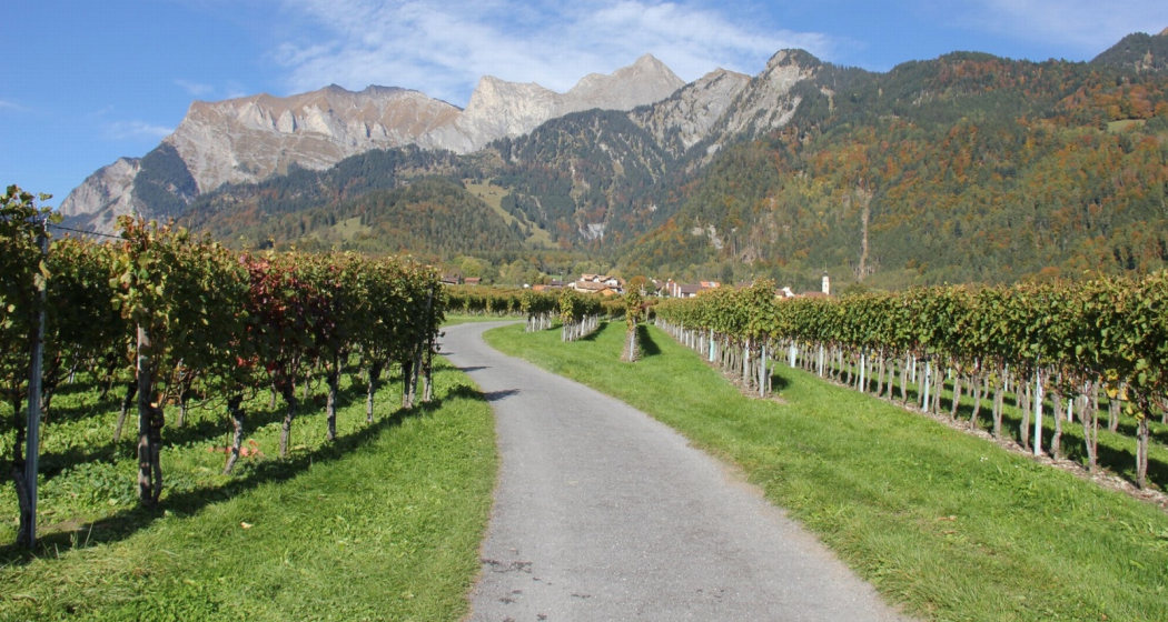 Weinregion Bündner Herrschaft Weinregion Bündner Herrschaft