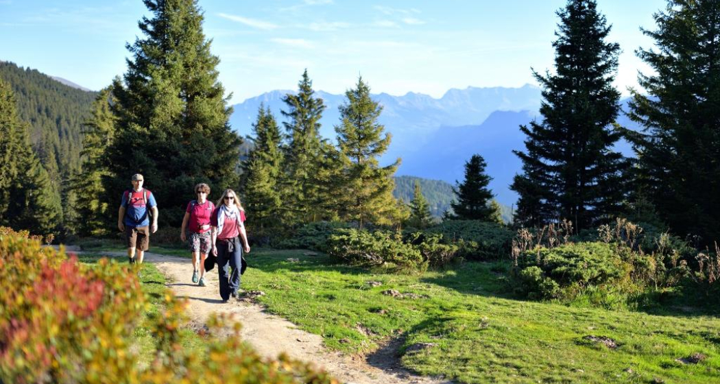 Dreibündenstein Erlebnisrodeln (Brambrüesch-Pradaschier-Churwalden) Dreibündenstein Erlebnisrodeln (Brambrüesch-Pradaschier-Churwalden)