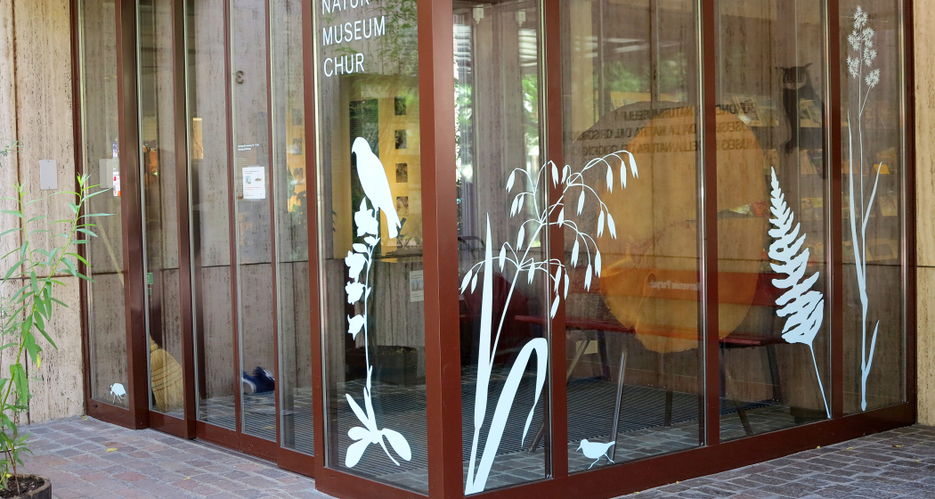 Bündner Naturmuseum Chur.