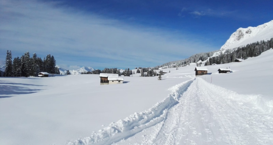 idyllische Winterwanderung
