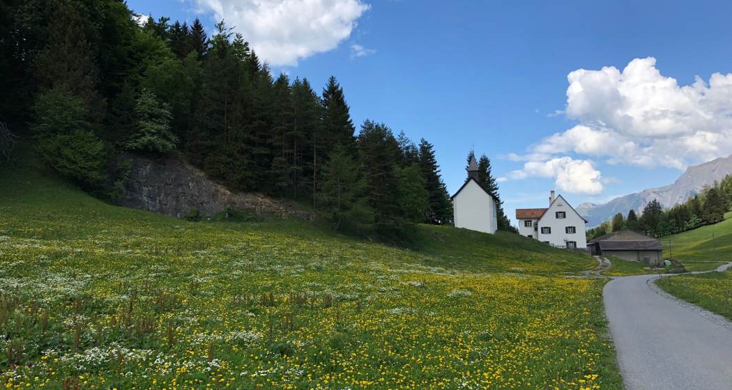 Schlussstück auf dem St.Margrethenberg Schlussstück auf dem St.Margrethenberg