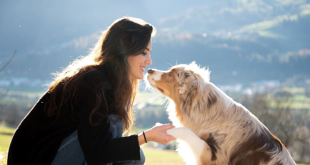 Hundesalon Cura Hundesalon Cura
