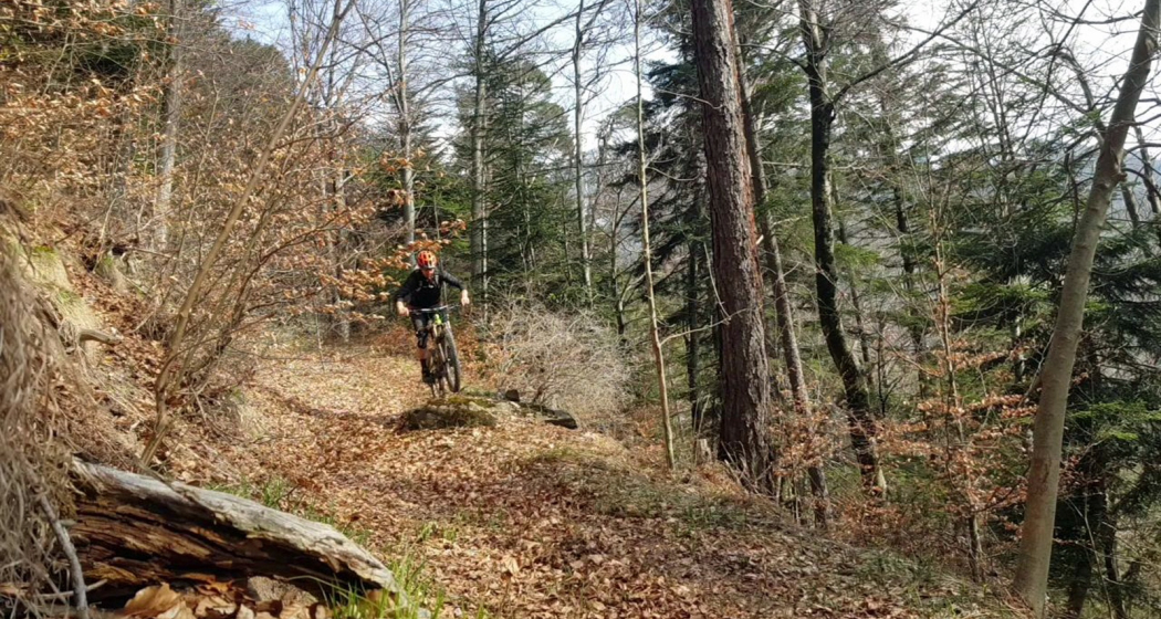 Nasstobel Trail Nasstobel Trail