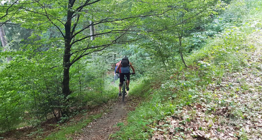 Einstieg in den Trail Einstieg in den Trail